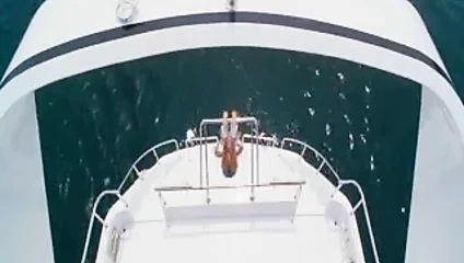 Jaime pressly - ölü ya da diri