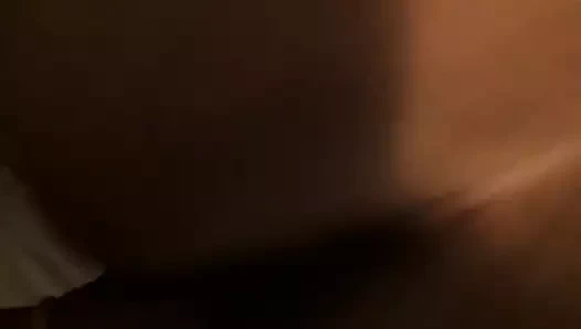 Küçük bir latin ile büyük bir horoz! 1. bölüm