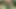 Bu kızıl saçlı Belçikalı ne istediğini (penis) biliyor ve istediğini yapıyor