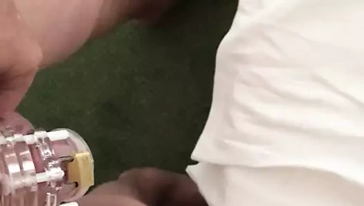 Karım beni boynuzluyor