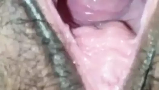 Rajasthani yenge kedi kapatmak