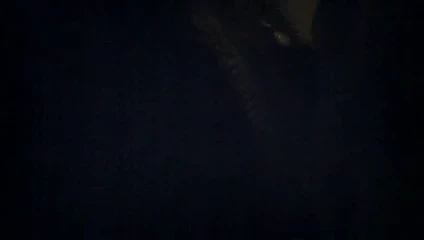 Evli kadın benim küçük şarabıma bağımlı