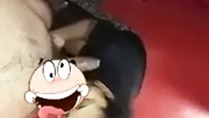 Emişli ceylon kraliçesi 2