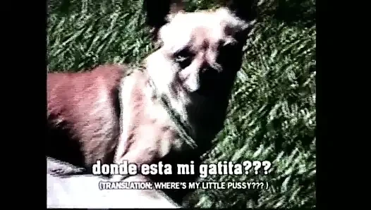 Harika genç zenci kız ağzına boşalana kadar canavar zenci yarağının tadını çıkarıyor