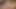 En iyi yeni starlet tarafından özel suşi
