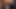 Queen Arılar yoğun bir bağ içinde