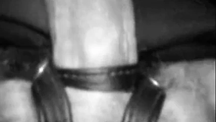 Bir partiden daha fazlası