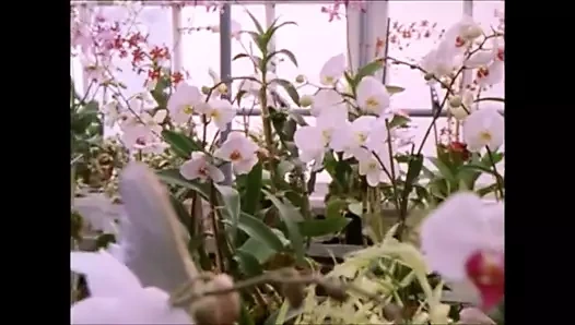 Sex and the city 4. sezon seks sahneleri