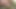 Sarışın için oral seks yapıp birden fazla yüze boşalmaktan daha eğlenceli bir şey yok