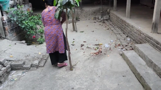 Teyzem bahçeyi temizliyormuş. Ama ona sarıldım, teyzemin götüne soktum ve onu anal sikmeye başladım