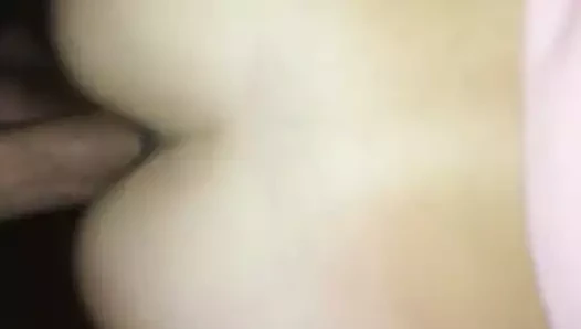 levrette de ma chienne