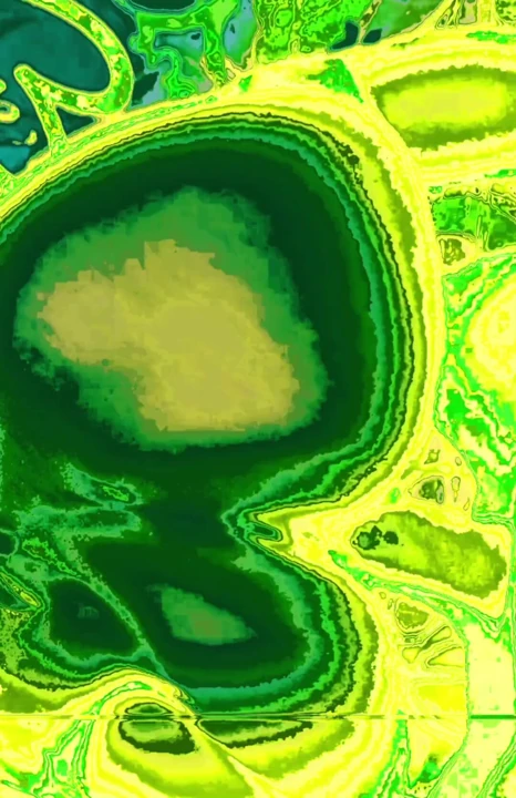 Matcha filtre trendi