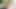 Transfixed - ateşli trans hatunlar raw spitroast cis bestie iri güzel barbekü partisinde prezervatifsiz üçlü seks sandviçinde