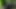 MATURE4K. Texas Patti is having wild kinky sex in the Czech woods