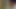 Notgeil 2 - Der Saft muss raus