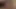 Naked chick fucks in her asshole on the kitchen floor
