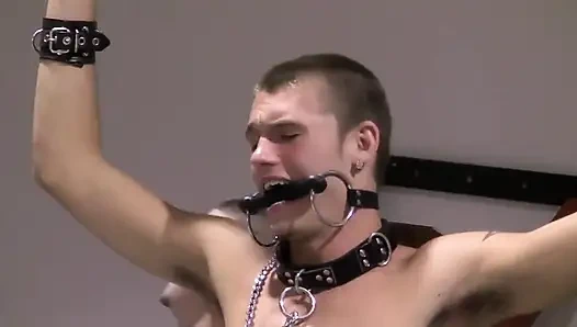 İyi döllenmiş köleler - bölüm 2