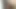 pov - lanet bir kıllı kedi