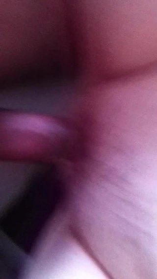 lanet olgun mel'in sıkı kedi