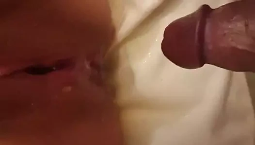 çiş üzerinde kedi