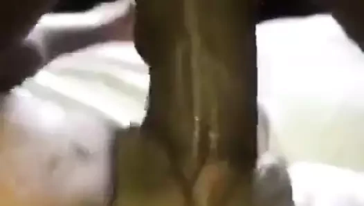 Büyük zenci sevenler