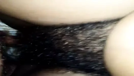 Pindorgo kıllı kedi