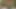 Dövmeli güzellik Evee şehvetli bir şekilde esnetiyor, çıplak soyunuyor, sırılsıklam amını parmaklıyor ve ilkel bir çığlıkla sertçe boşalıyor.