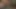 Adam kanepede seksi genç bebeği domaltarak sikiyor