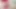Cheating Latina MILF Mature Wife Birthday: Dildo Gift + Fingering then Doggystyle Dildo Fucking Real Homemade