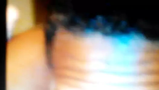 Glamourboi devon kedi yiyici