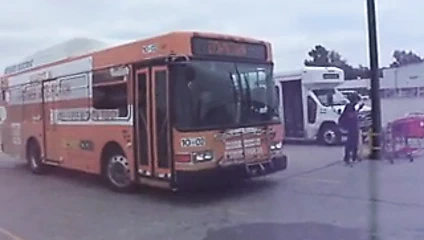 Sexygirl2014 binicilik bruce otobüs