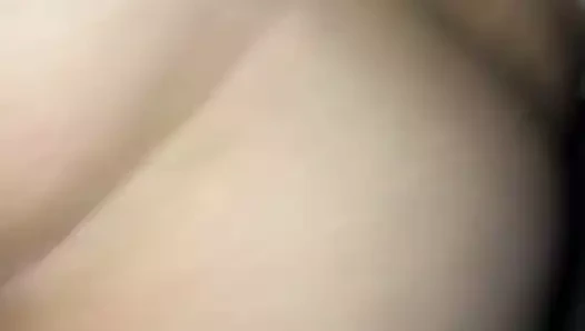 BBC içinde sıkı puma kedi ham (kısa klip)