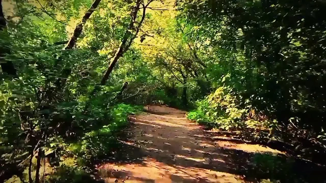 Twink quit fishing and went naked into the woods jerking off his dick