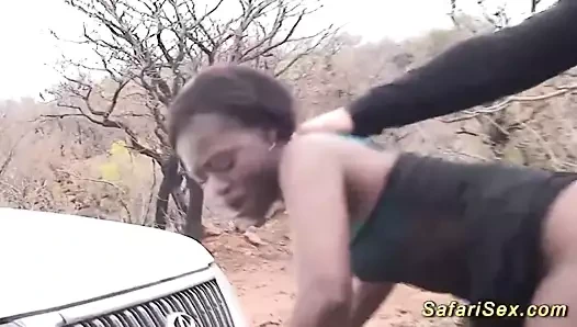Afrika safari seks