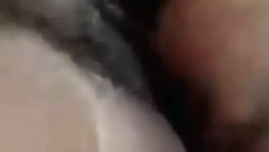 Dik abanoz gösterileri ona ıslak kedi