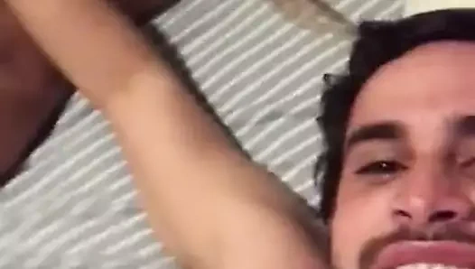Perdeu Gata