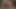 iki sarışınlar veren sana bir pov oral seks