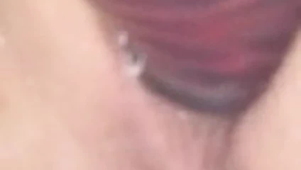 Yakın yukarı sulu kedi yapay penis eğlence ve kremalı pasta