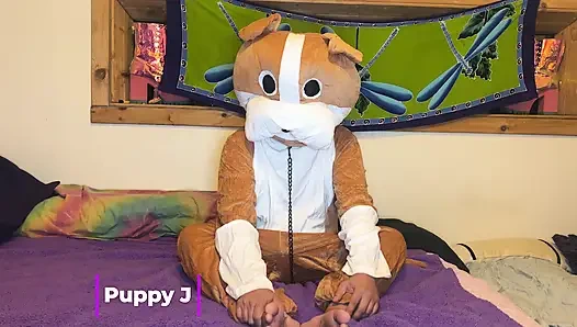 Furry Love - Cliff Media Productions