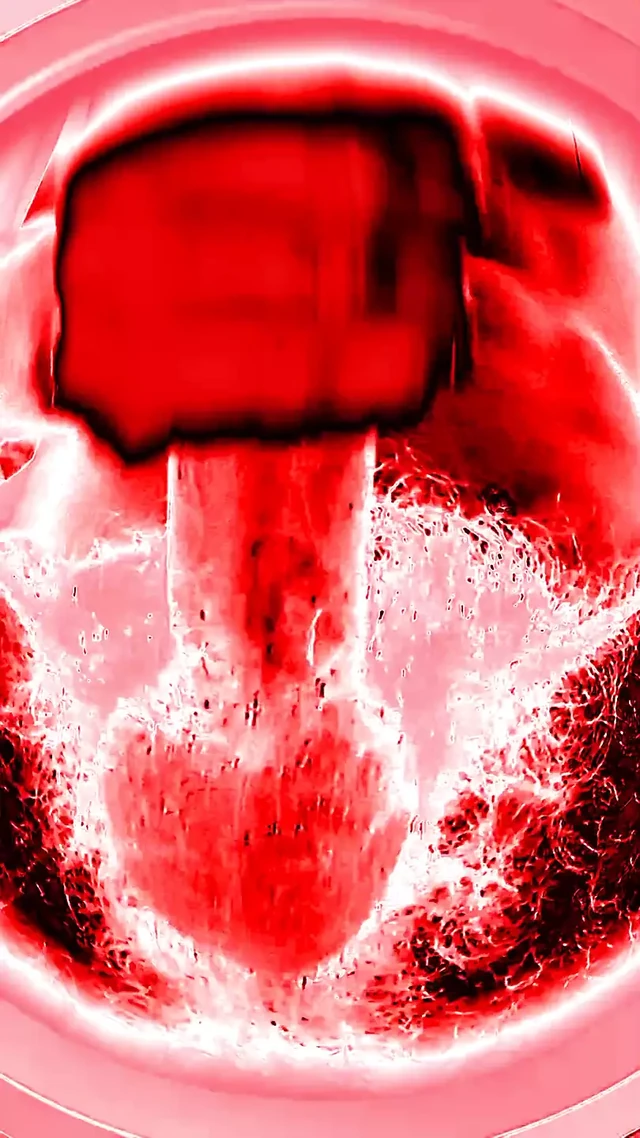 Большой возбужденный член