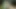 Connivingrat 3d porno hentai derlemesi 127