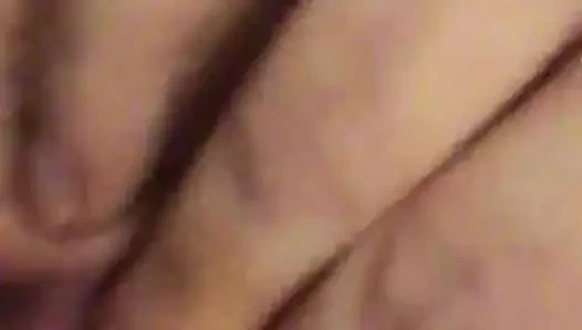 güzel KEDİ sürtünme
