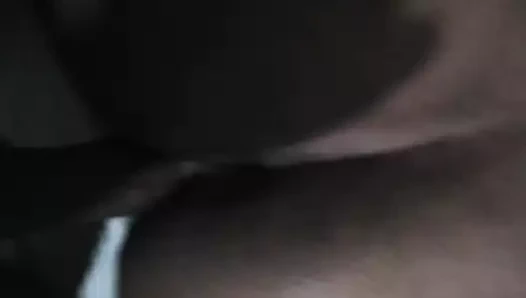 benim hanımları phat göt KEDİ phart