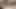 Bütün sütümü içiyorum, biraz ister misin?