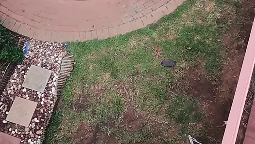 Drone'mla uçarken komşularımı sikişirken yakaladım