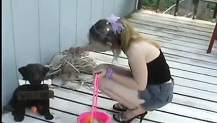 Paskalya yumurtaları için avlanan sevimli genç pisi