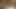Bu çılgın iri güzel siyah lezbiyenler büyük bir çift dildonun her santimini alıyor