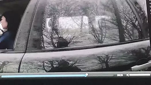 Ateşli memeli araba :)