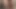 Büyük Yaraklarla Birbirlerine Sidik Oyunu