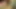 Tam video Meksikalı doğum günü kızı bugün beni gerçek ev yapımı porno evine davet ediyor